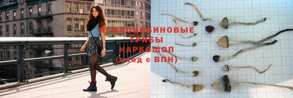 тгк Осташков